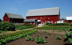 Rentschler barn